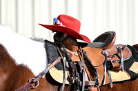 Chatham Rodeo - Sunday event
