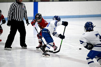 Darian Youth Ice Hockey