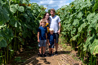 Casey family and sunflowers